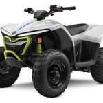 2024 CFMOTO CForce EV110 for Sale
