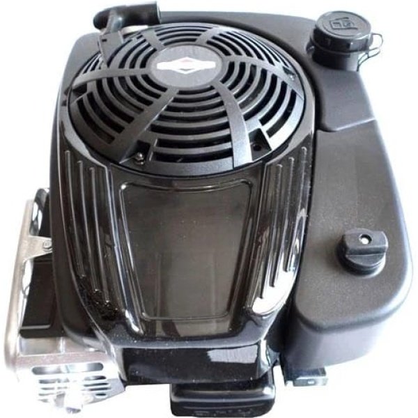 Briggs Stratton 121S02 0130 F2 Vertical Engine Briggs Stratton 121S02 0130 F2 Vertical Engine